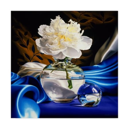 Francois Chartier 'Solitaire White Flowers' Canvas Art,14x14